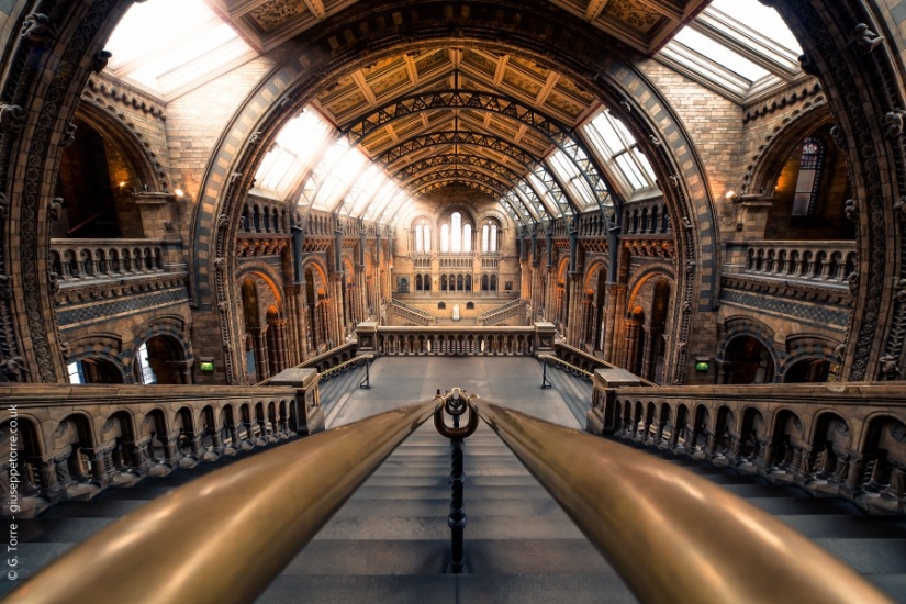 30 photos harmonious with perfect symmetry
