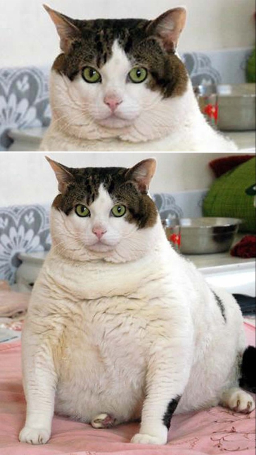 30 photos that show that pruning them radically changing the business