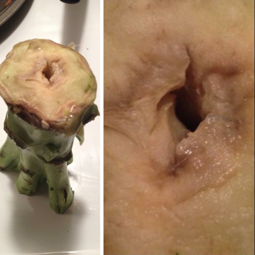 30 photos that show that pruning them radically changing the business