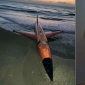 30 rare things that people accidentally found and were completely delighted with