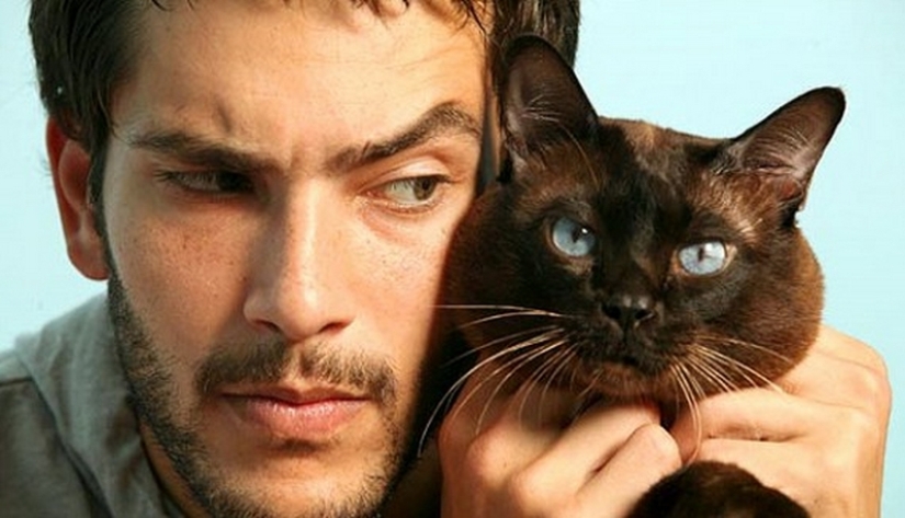 30 reasons to exchange your wife for a cat