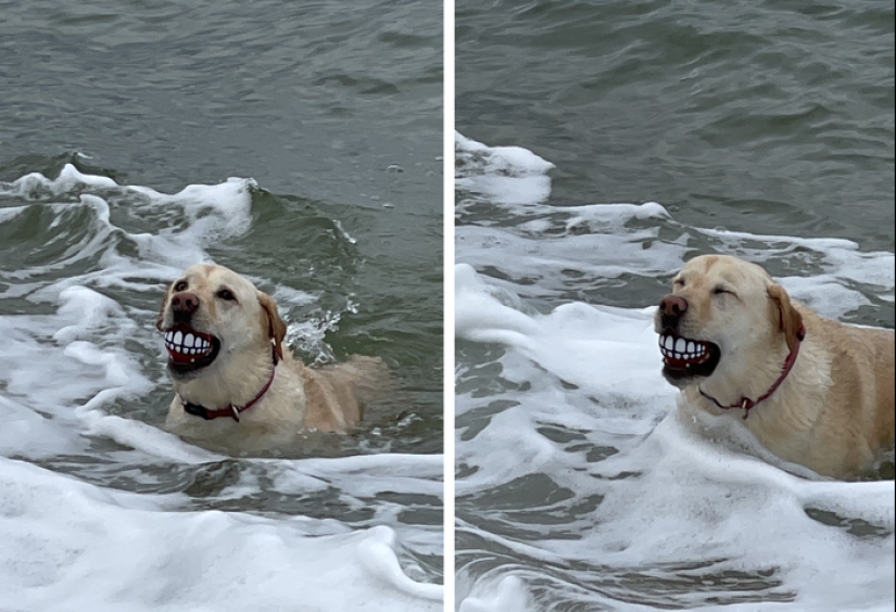 30 regalos divertidos e inusuales compartidos por los usuarios de Reddit