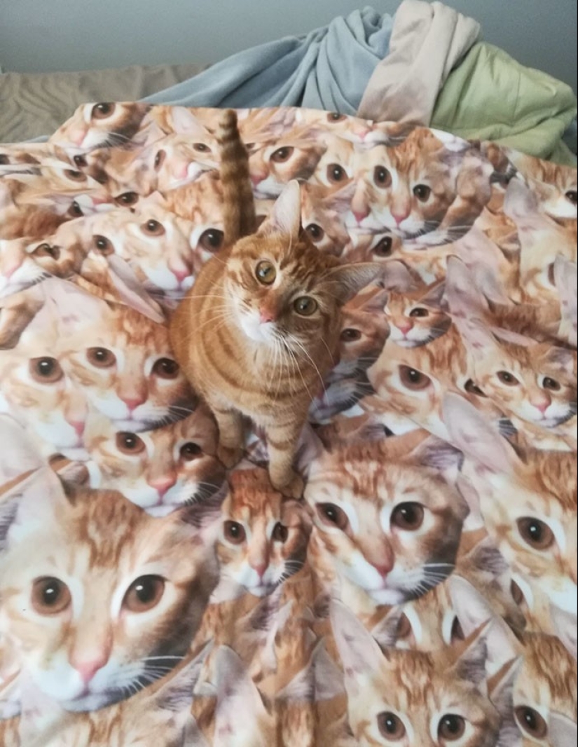 30 regalos divertidos e inusuales compartidos por los usuarios de Reddit