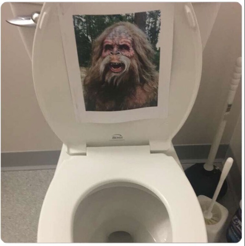 30 strange things that girls found in men's bathrooms and toilets
