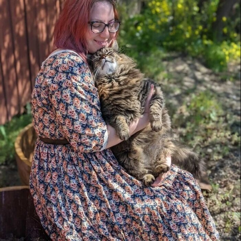 30 touching photos of cats and dogs that have found a home and family 30 touching photos of cats and dogs that have found a home and family