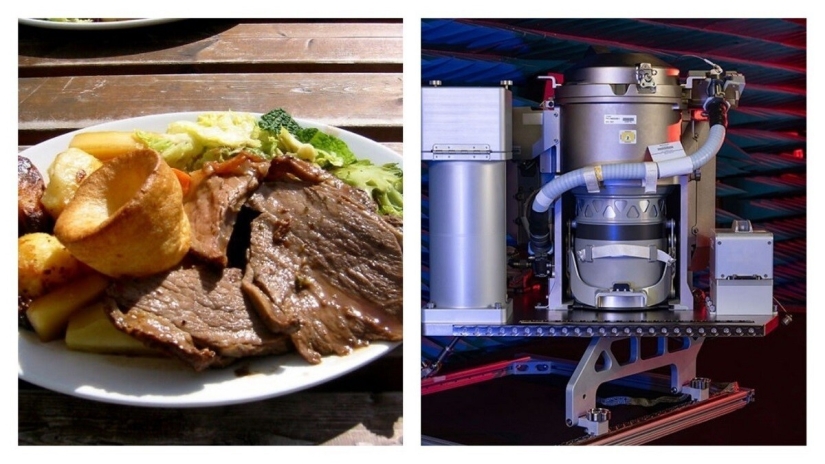 30 unexpected facts that will amaze you to the core