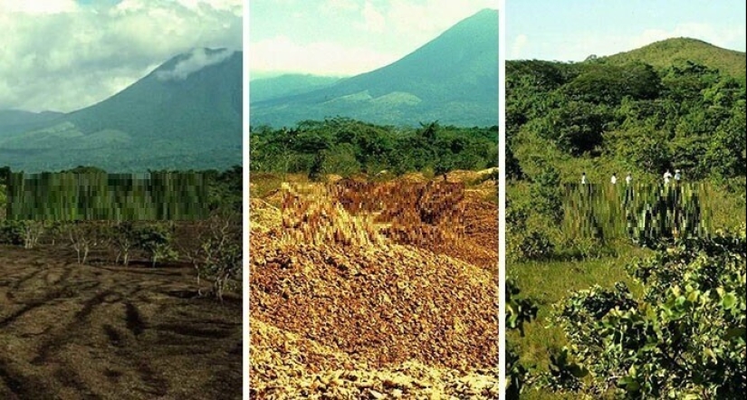 30 unexpected facts that will amaze you to the core