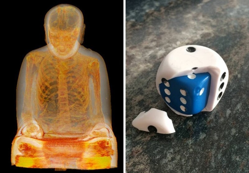 30 unexpected finds inside a disassembled or broken things