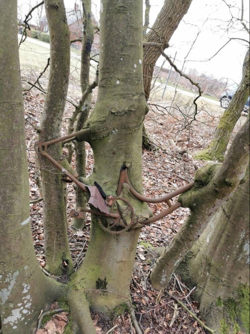 30 unusual and rare things that no one expected to see
