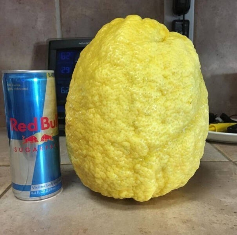 30 unusual and rare things that no one expected to see