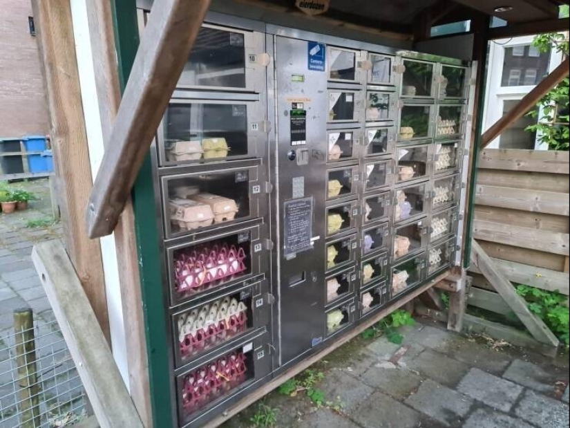 30 unusual and rare things that no one expected to see