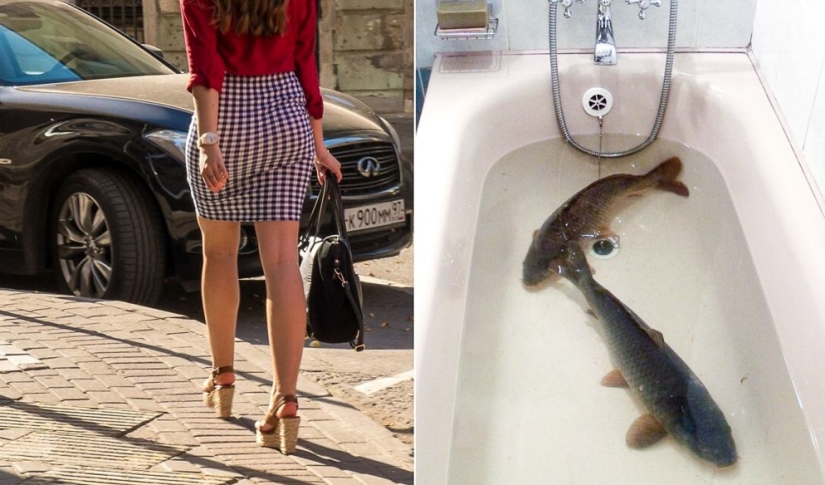 30 unusual facts about different countries that will seem wild to you 30 unusual facts about different countries that will seem wild to you