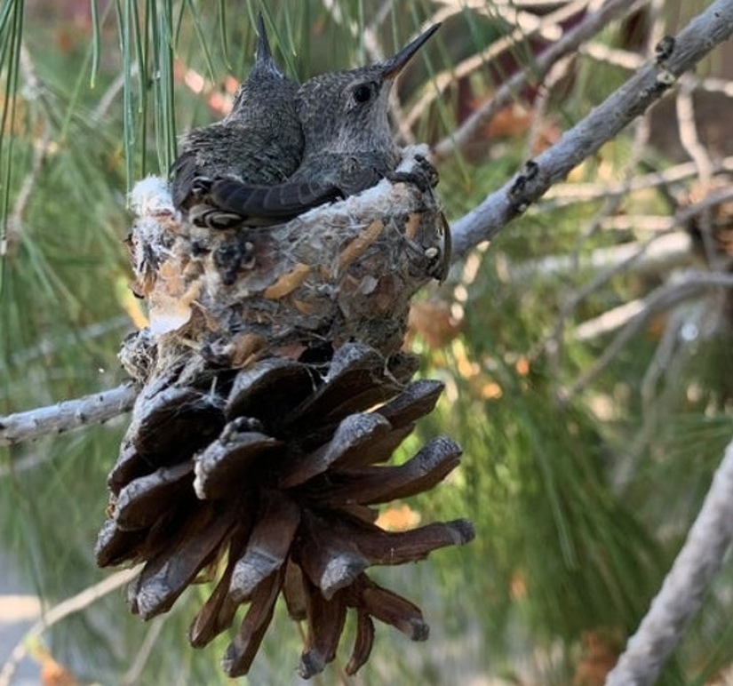 30 unusual photographs proving that the world is full of mysteries and amazing things 30 unusual photographs proving that the world is full of mysteries and amazing things