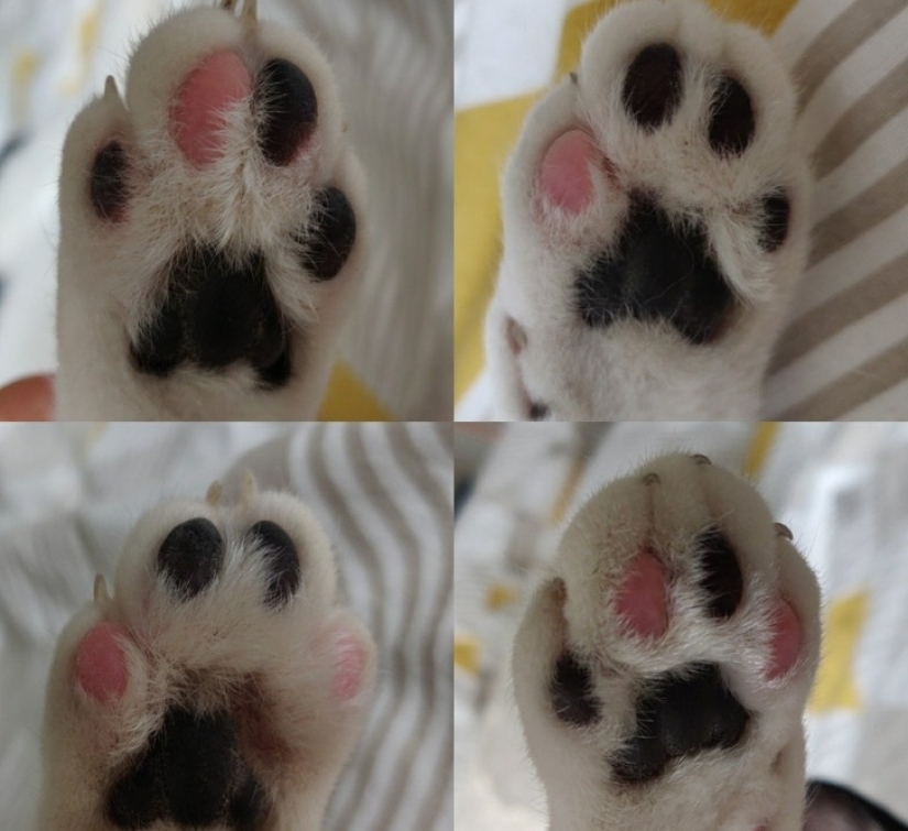 30 unusual photographs proving that the world is full of mysteries and amazing things 30 unusual photographs proving that the world is full of mysteries and amazing things