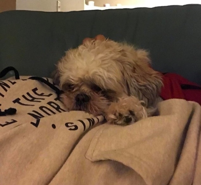 30 unusual photographs proving that the world is full of mysteries and amazing things 30 unusual photographs proving that the world is full of mysteries and amazing things