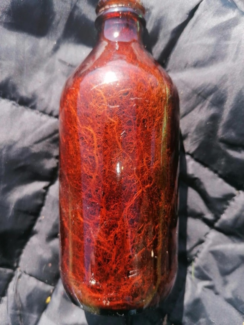 30 unusual photographs proving that the world is full of mysteries and amazing things 30 unusual photographs proving that the world is full of mysteries and amazing things