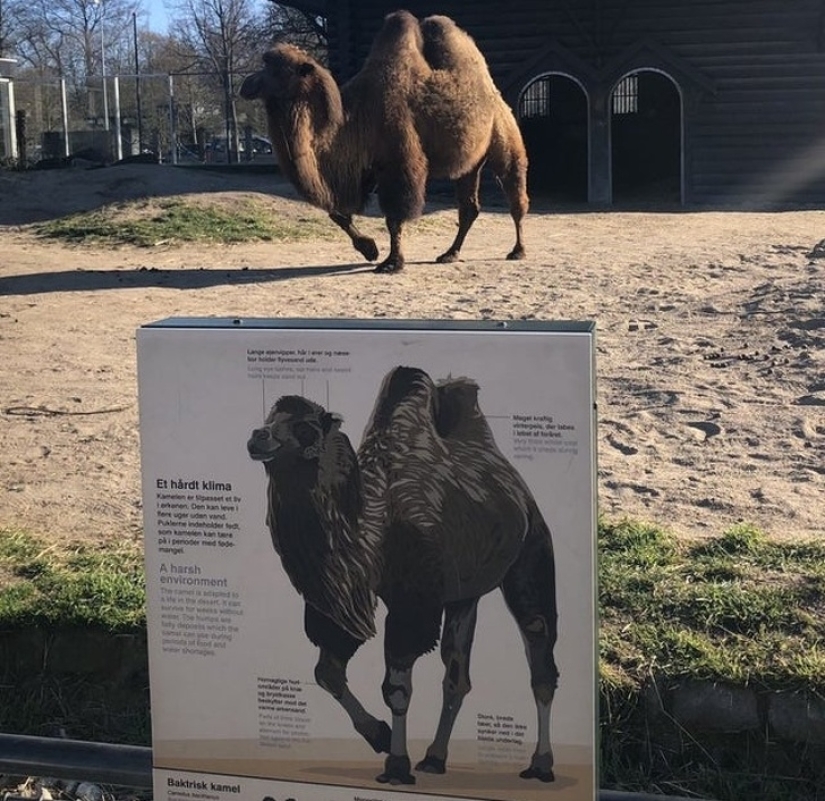 30 unusual photographs proving that the world is full of mysteries and amazing things 30 unusual photographs proving that the world is full of mysteries and amazing things