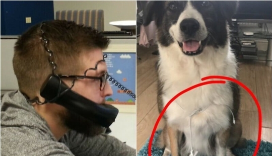 30 vivid examples when laziness borders on genius