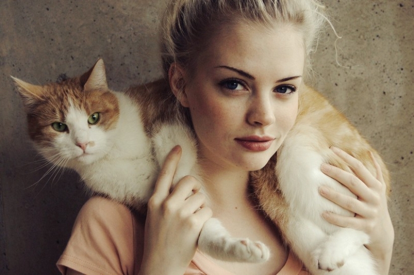 30 ways to use cats in the household