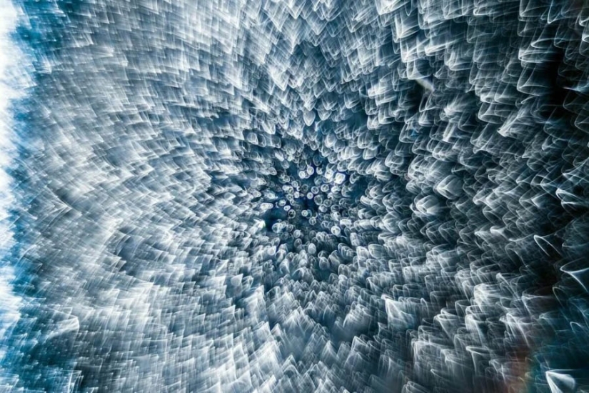 32 micrographs that will change your idea of the world