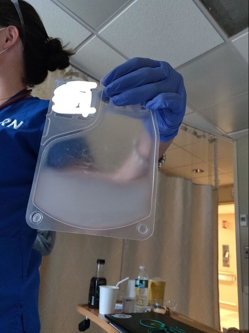 33 cosas raras y sorprendentes que vale la pena ver al menos en la foto 33 cosas raras y sorprendentes que vale la pena ver al menos en la foto