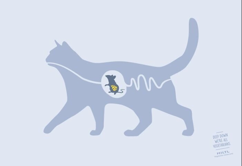 33 ejemplos de los anuncios de gatos más creativos y divertidos 33 ejemplos de los anuncios de gatos más creativos y divertidos