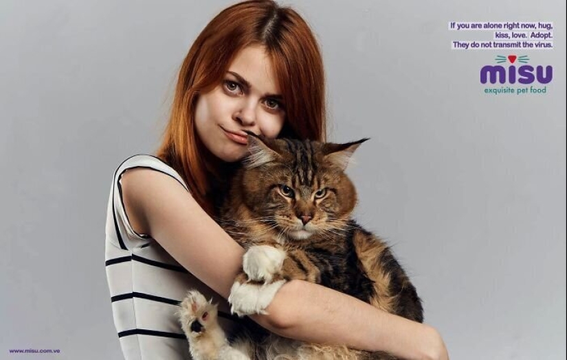 33 ejemplos de los anuncios de gatos más creativos y divertidos 33 ejemplos de los anuncios de gatos más creativos y divertidos