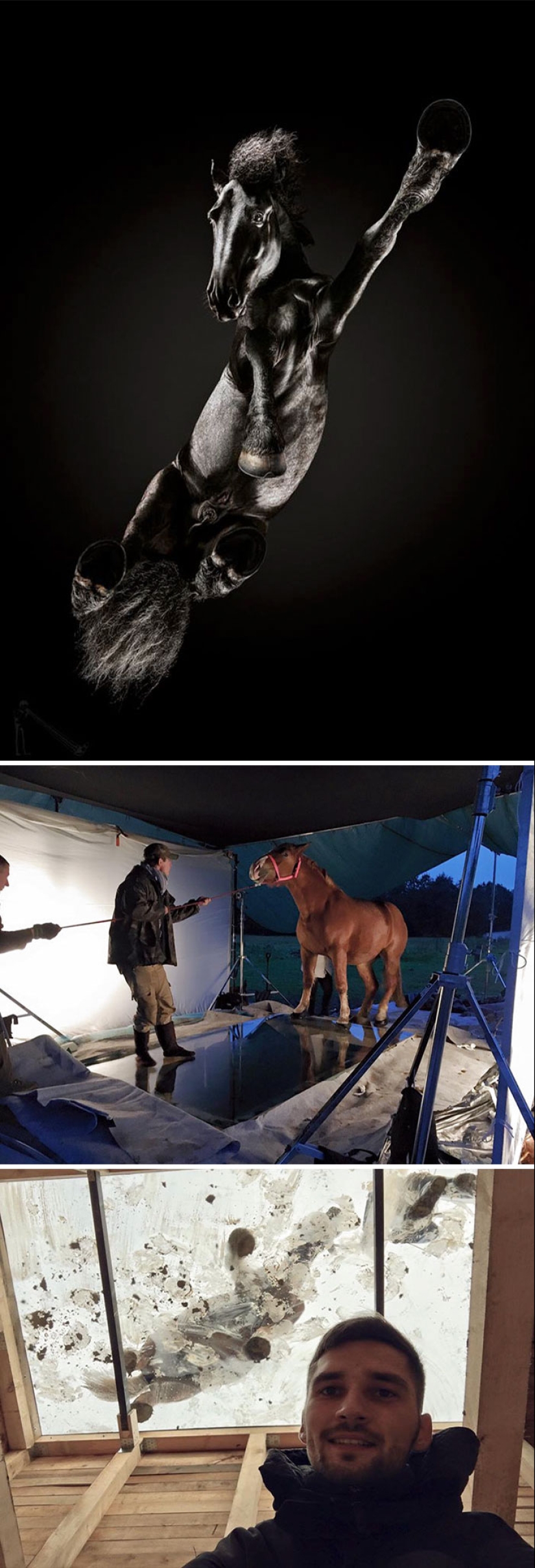 33 ejemplos del hecho de que la fotografía profesional es un completo engaño