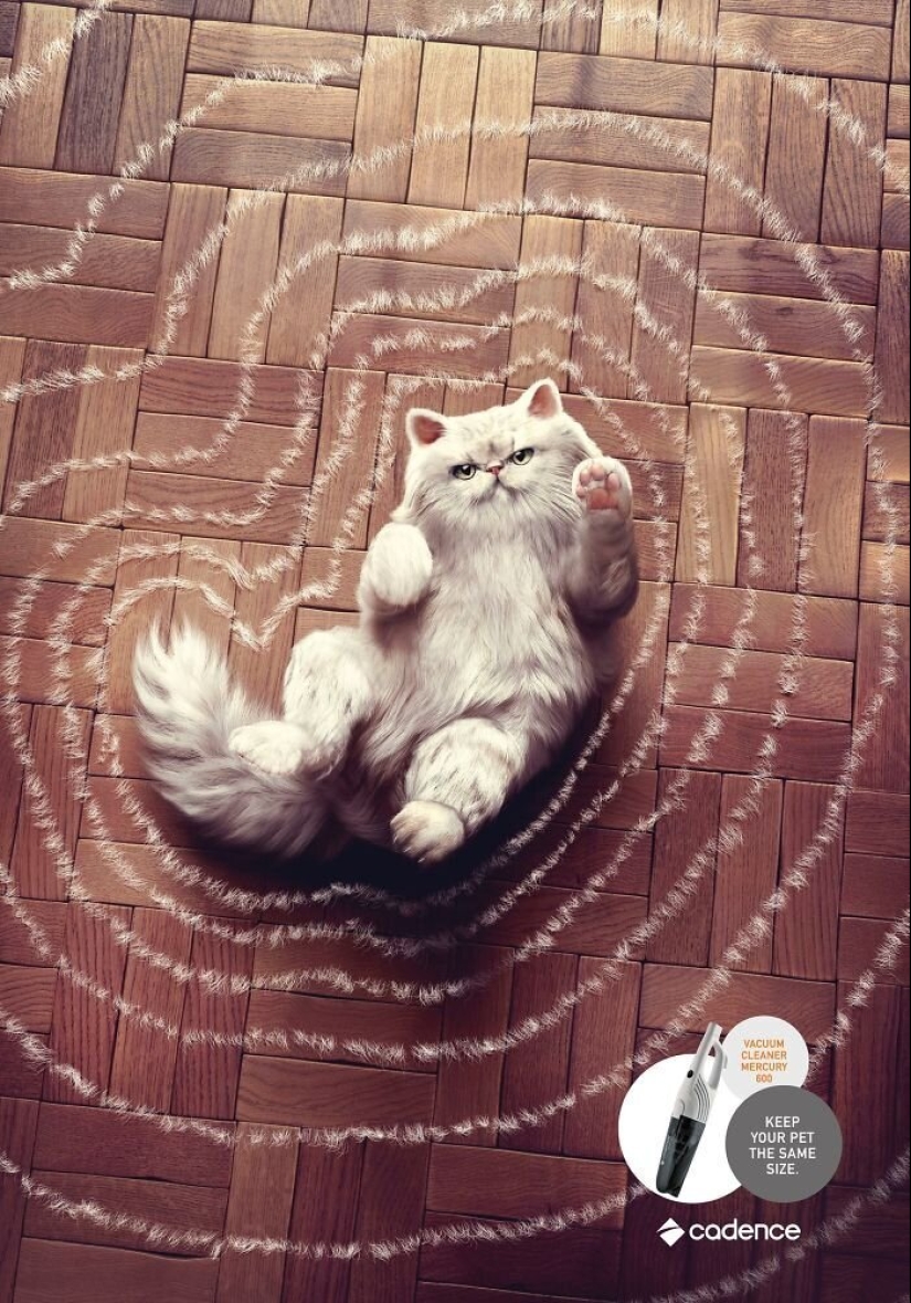 33 examples of the most creative and funny cat ads