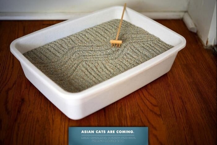 33 examples of the most creative and funny cat ads