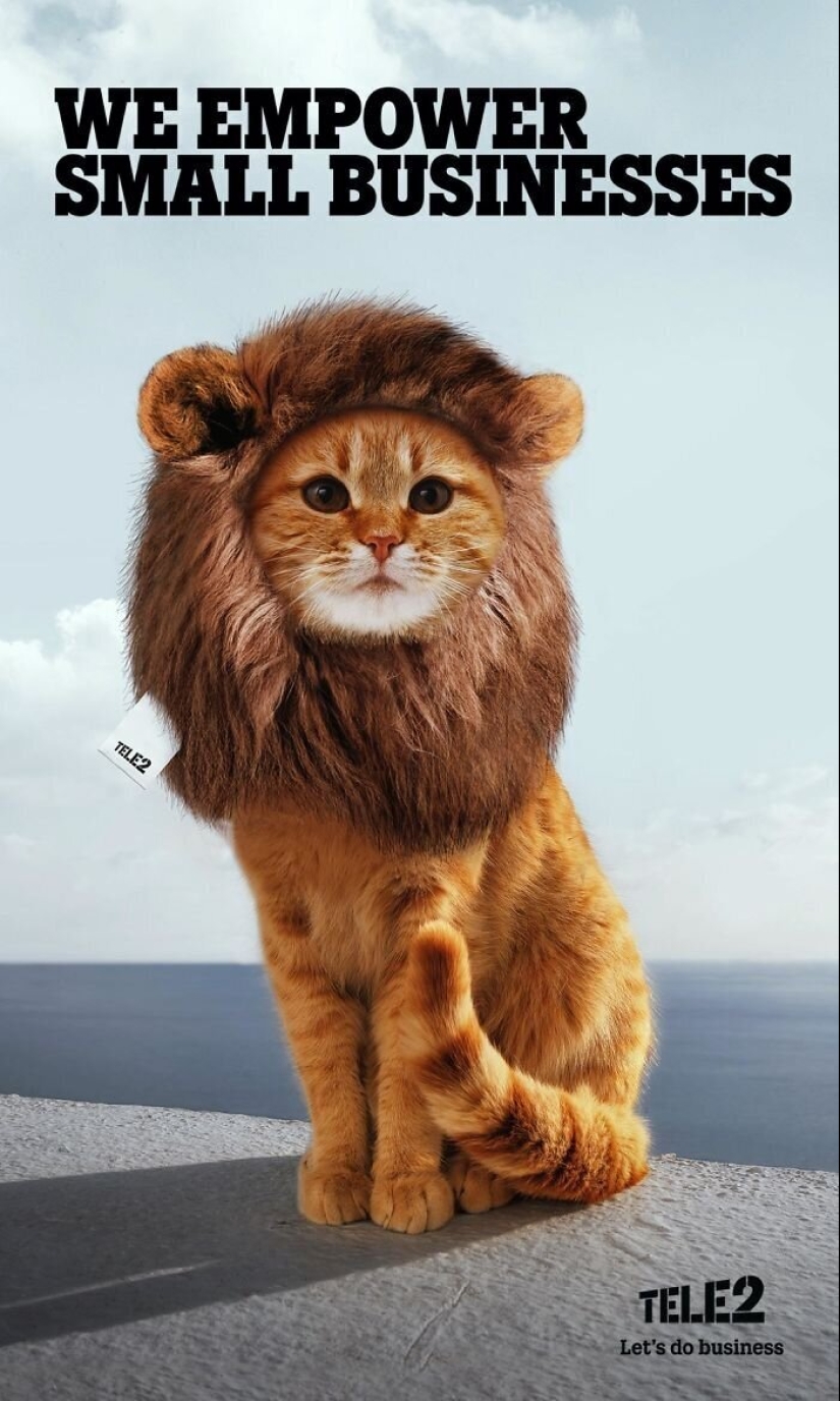 33 examples of the most creative and funny cat ads