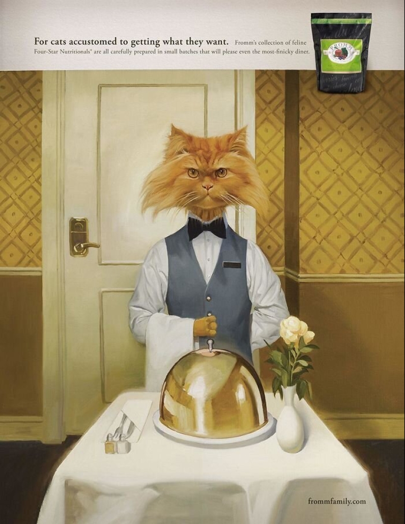 33 examples of the most creative and funny cat ads