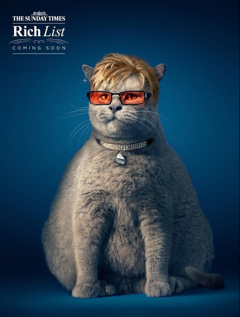 33 examples of the most creative and funny cat ads