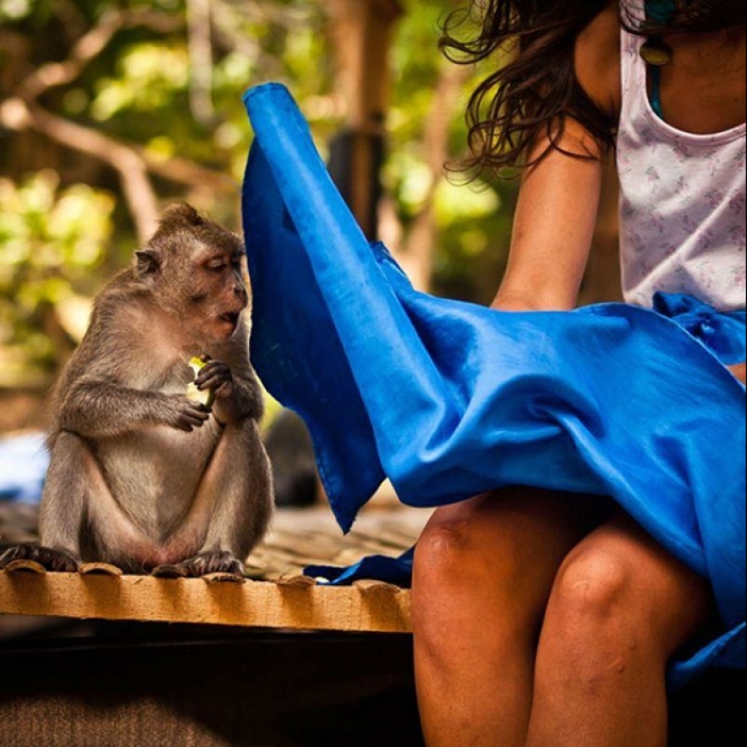 33 fotos donde el momento y el ángulo lo deciden todo 33 fotos donde el momento y el ángulo lo deciden todo
