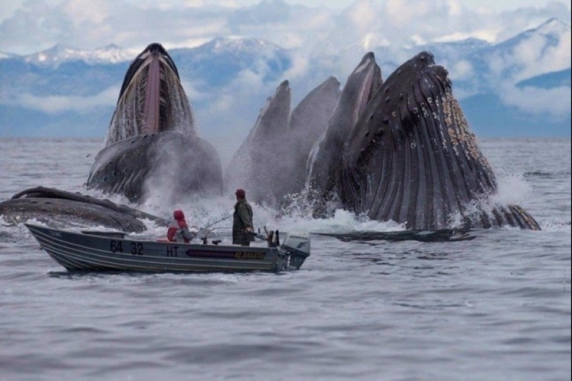 33 fotos donde el momento y el ángulo lo deciden todo 33 fotos donde el momento y el ángulo lo deciden todo
