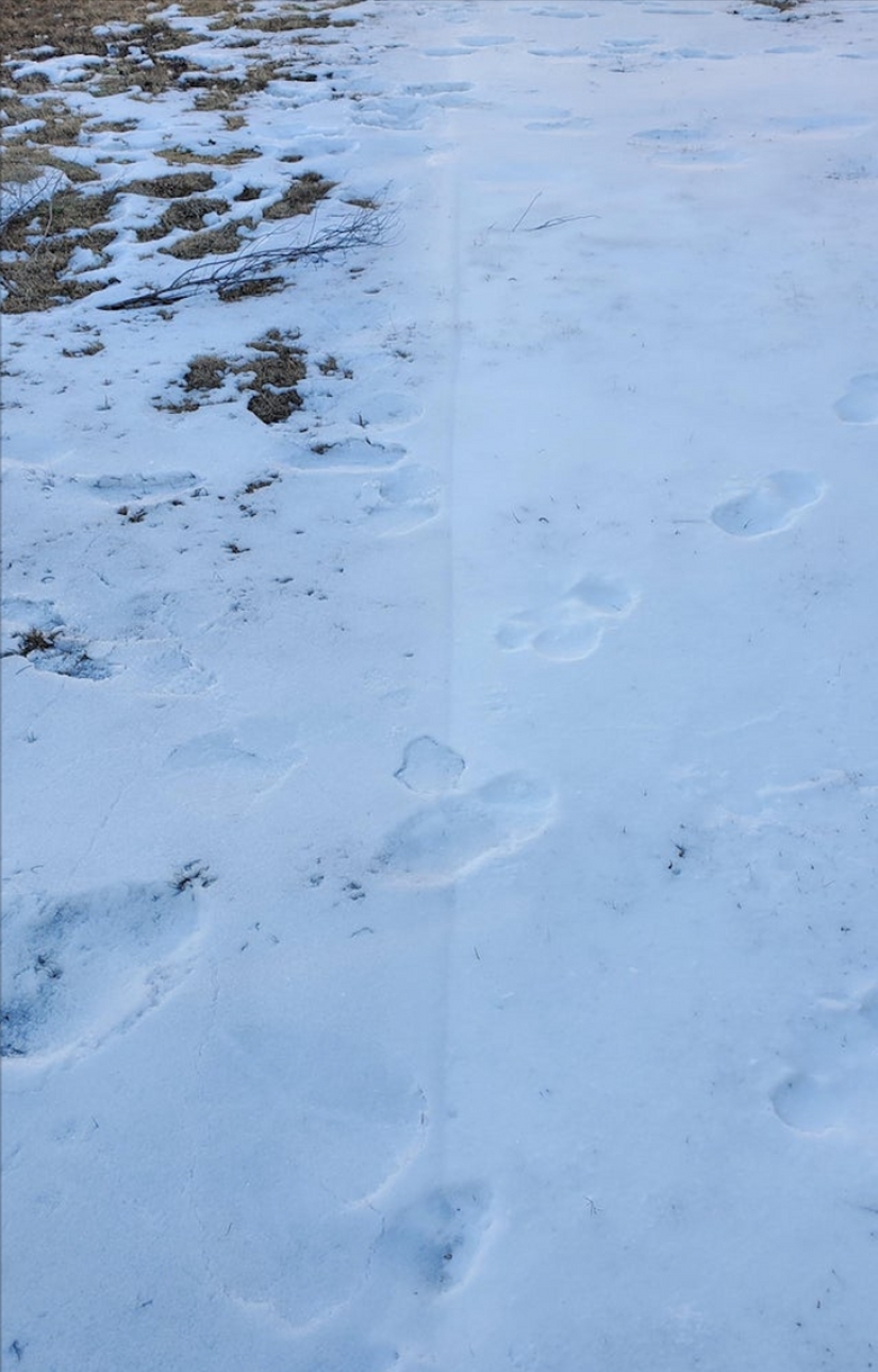 33 historias sobre lo que la vida no nos preparó para 33 historias sobre lo que la vida no nos preparó para