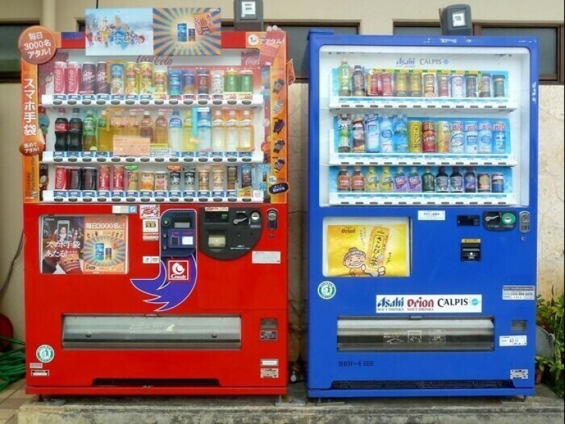 33 interesting facts about Japan that prove that this country is not like others