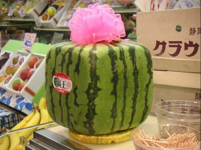 33 interesting facts about Japan that prove that this country is not like others