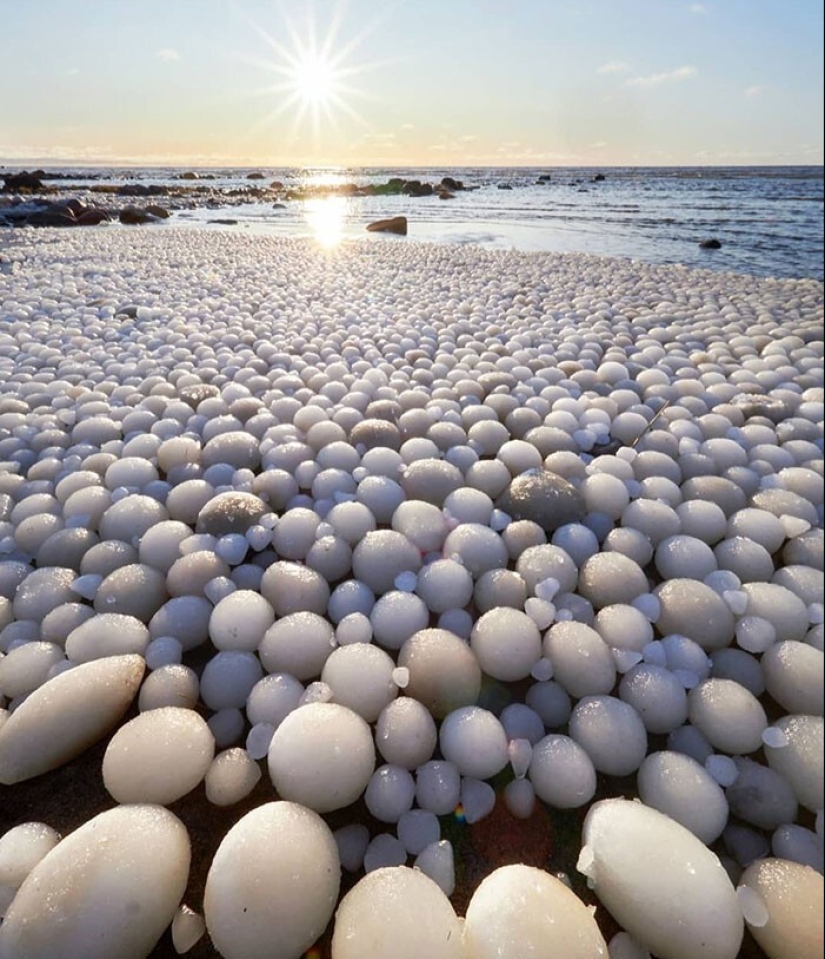 33 rare and amazing things that are worth seeing at least in the photo 33 rare and amazing things that are worth seeing at least in the photo