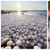 33 rare and amazing things that are worth seeing at least in the photo 33 rare and amazing things that are worth seeing at least in the photo