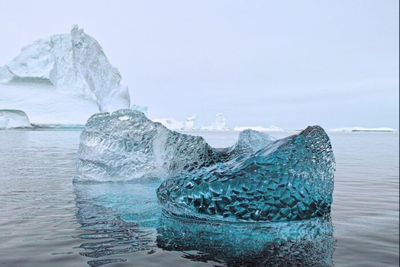 33 rare and amazing things that are worth seeing at least in the photo 33 rare and amazing things that are worth seeing at least in the photo
