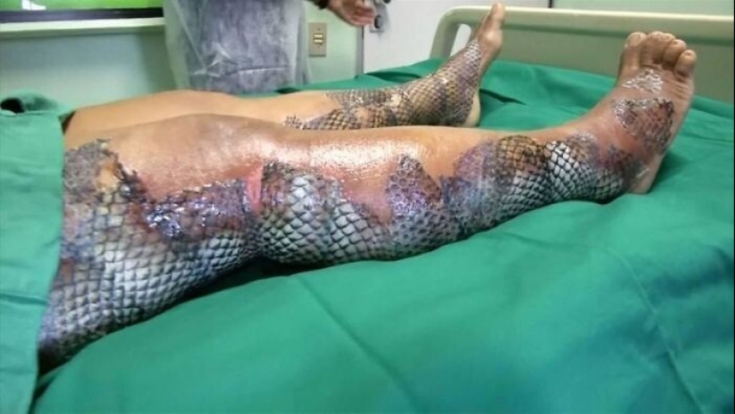 33 rare and amazing things that are worth seeing at least in the photo 33 rare and amazing things that are worth seeing at least in the photo