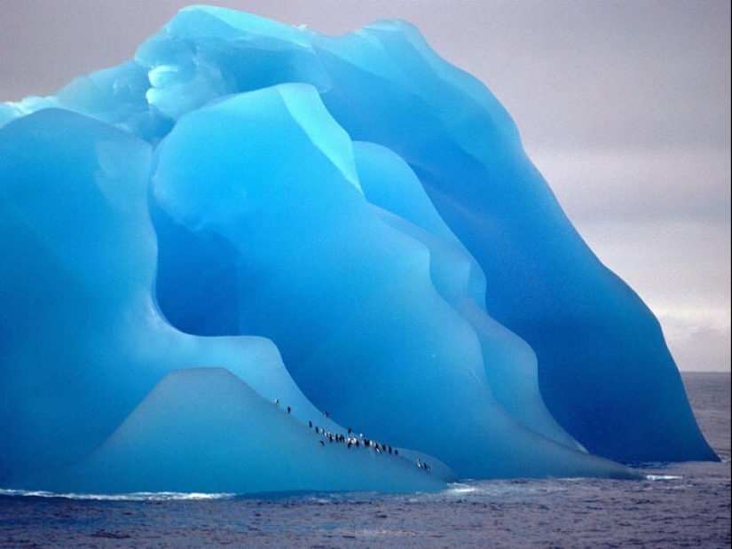 33 rare and amazing things that are worth seeing at least in the photo 33 rare and amazing things that are worth seeing at least in the photo