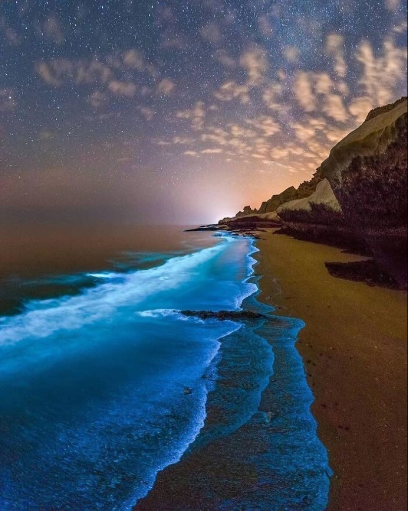 33 rare and amazing things that are worth seeing at least in the photo 33 rare and amazing things that are worth seeing at least in the photo