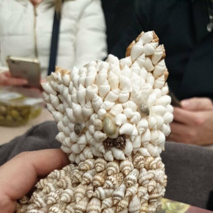 33 ridiculous and bizarre things that people anxiously keep in the house
