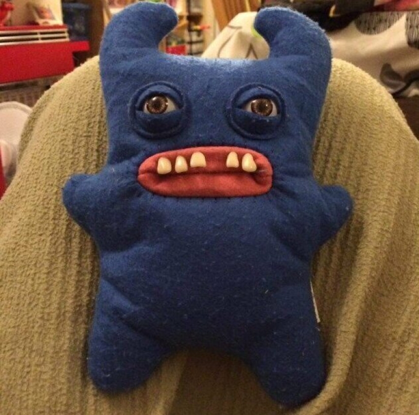 33 ridiculous and bizarre things that people anxiously keep in the house