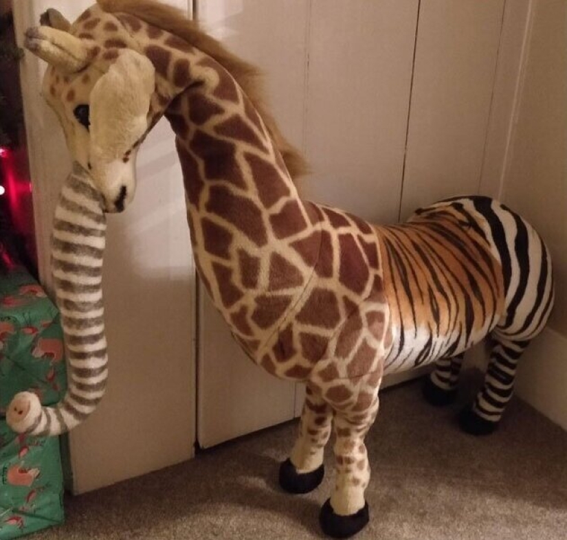 33 ridiculous and bizarre things that people anxiously keep in the house
