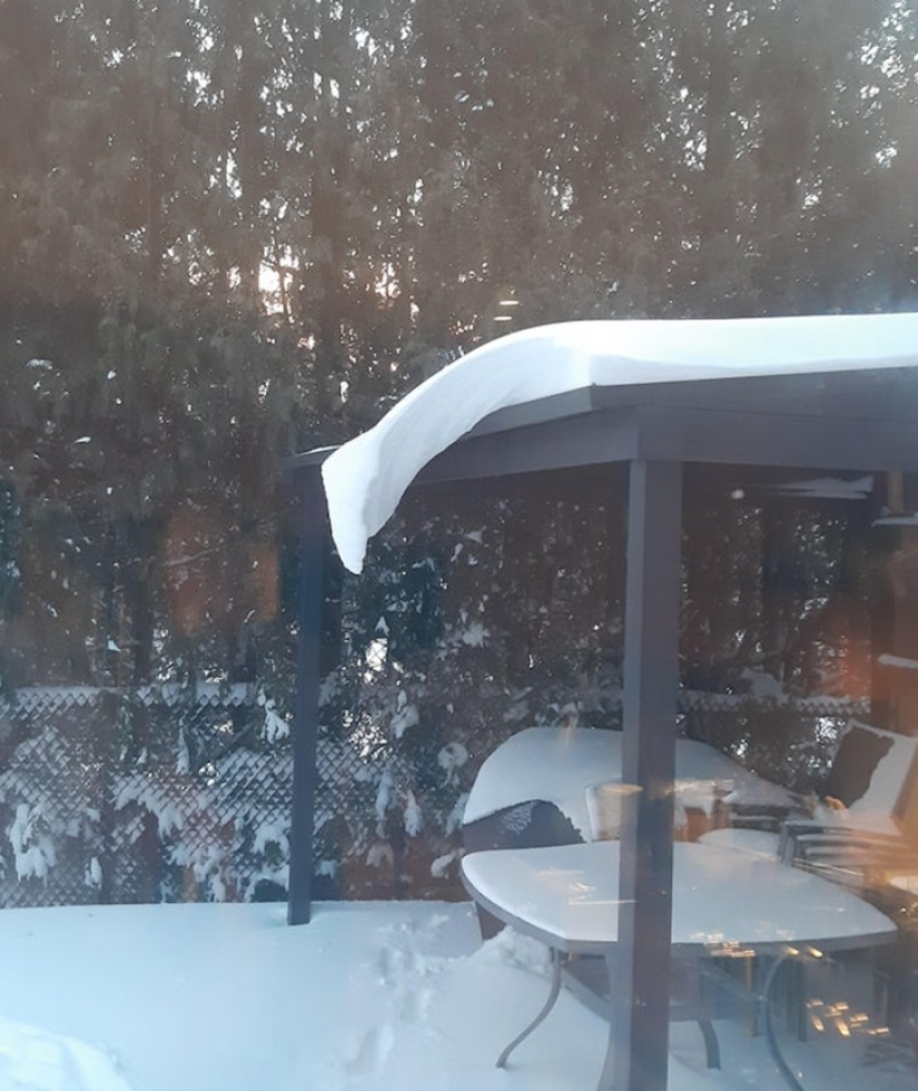 33 stories about what life did not prepare us for 33 stories about what life did not prepare us for