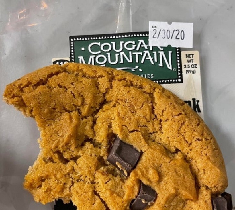 33 stories about what life did not prepare us for 33 stories about what life did not prepare us for