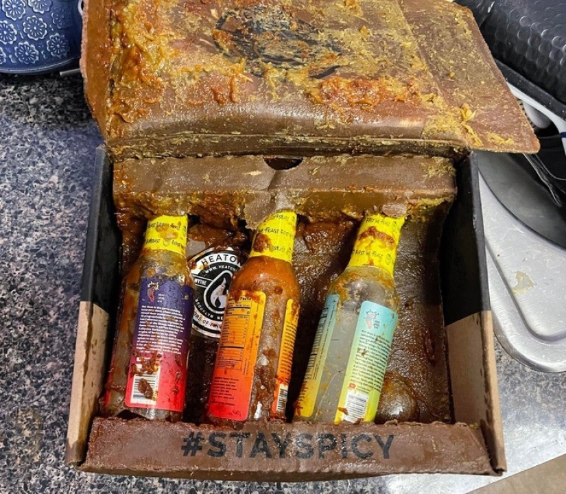 33 stories about what life did not prepare us for 33 stories about what life did not prepare us for